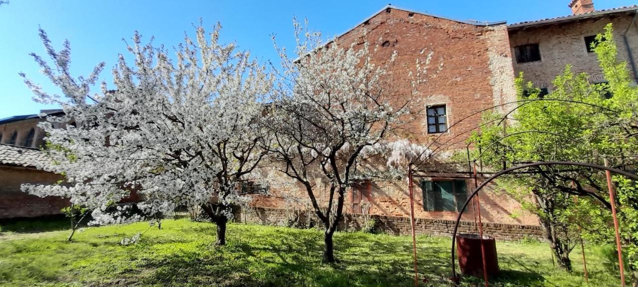 Agriturismo Olivazzi Quattordio Luaran gambar